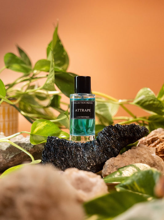 ATTRAPE - Jamal Noor