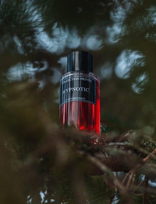 HYPNOTIC - Jamal Noor