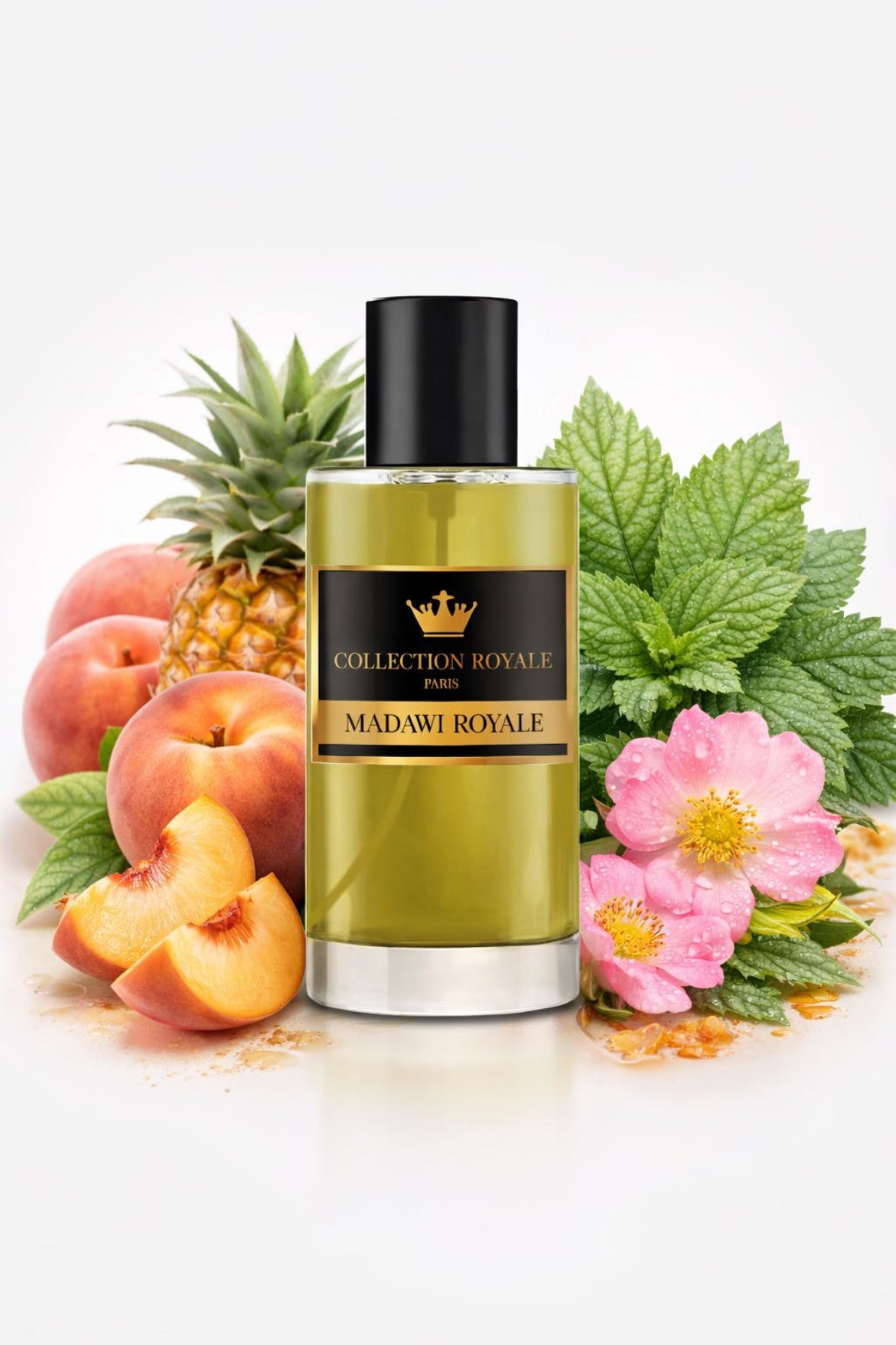 COLLECTION ROYALE — Jamal Noor