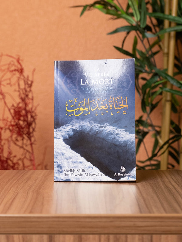 LA VIE APRÈS LA MORT