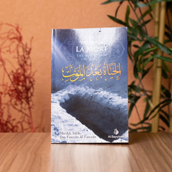 LA VIE APRÈS LA MORT