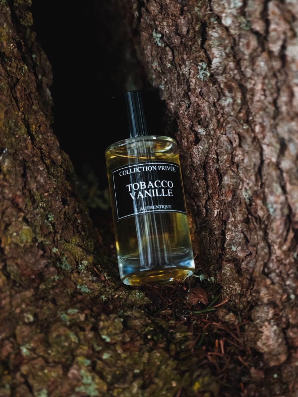 TOBACCO VANILLE